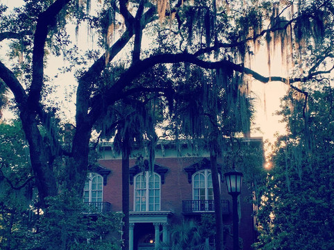 Private Walking Tours of Savannah-萨凡纳必去景点