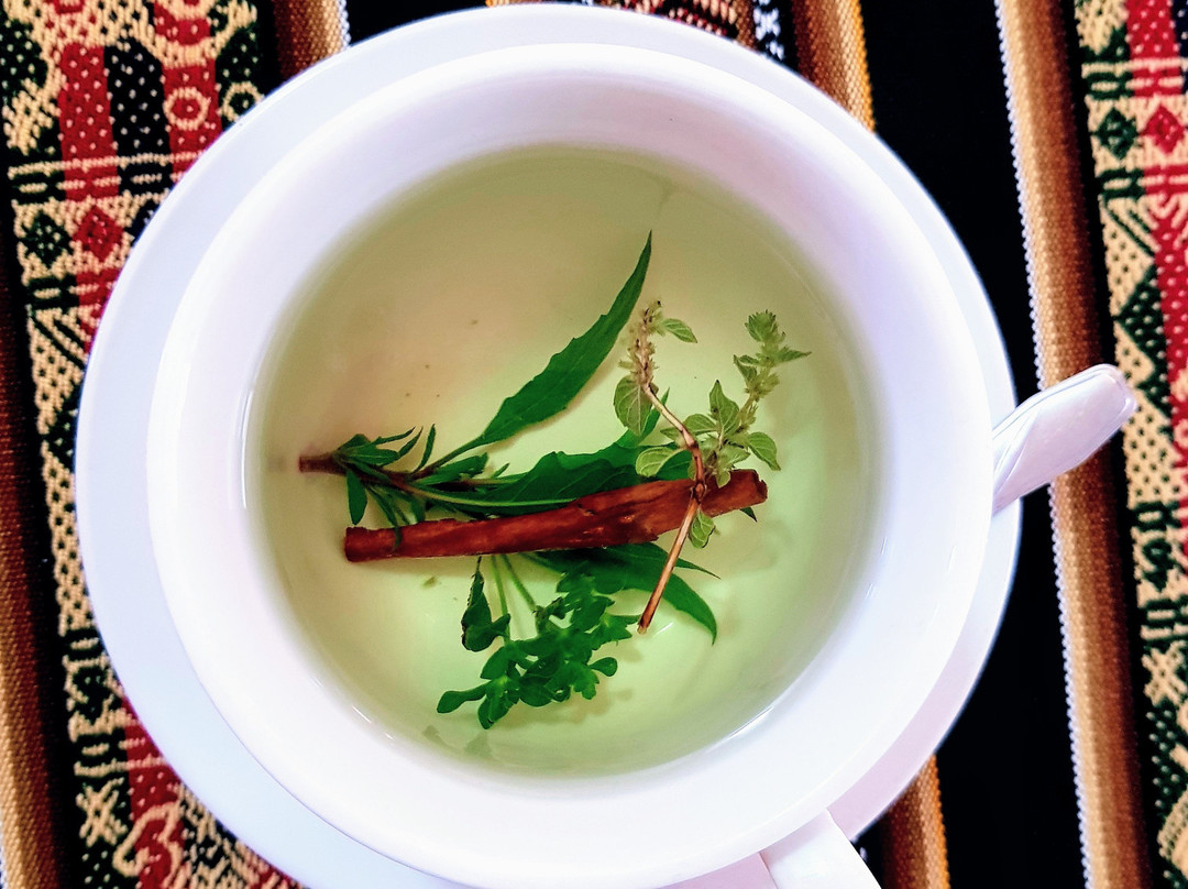 Pousada Villa Huaripampa主图