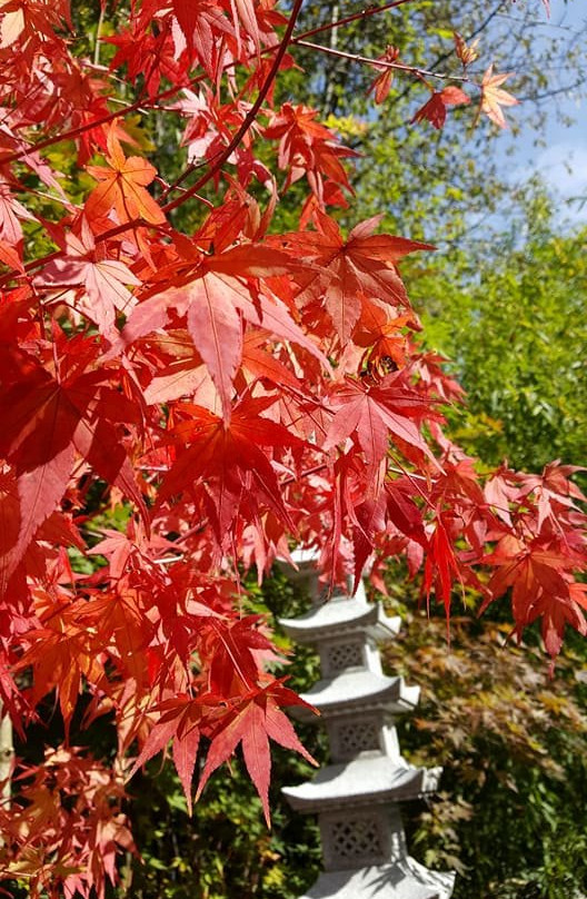 Bambuswald-Heiligenberg-Steigen必去景点