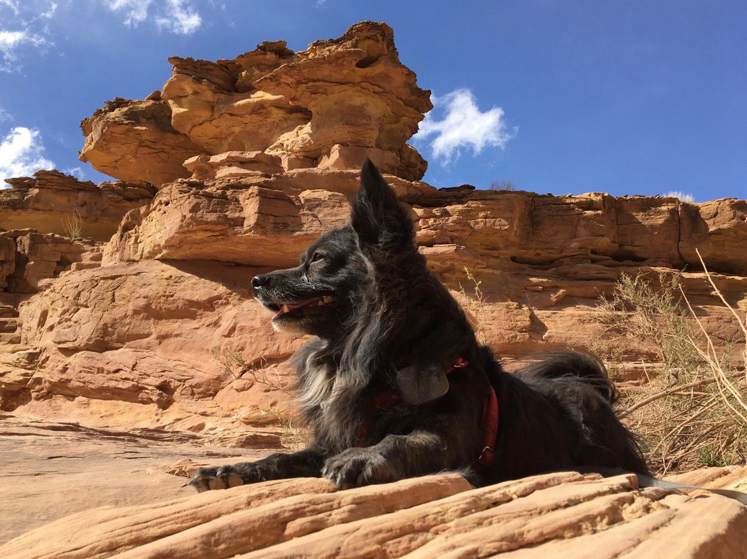 Little Wild Horse and Bell Canyon Trail-格林河必去景点