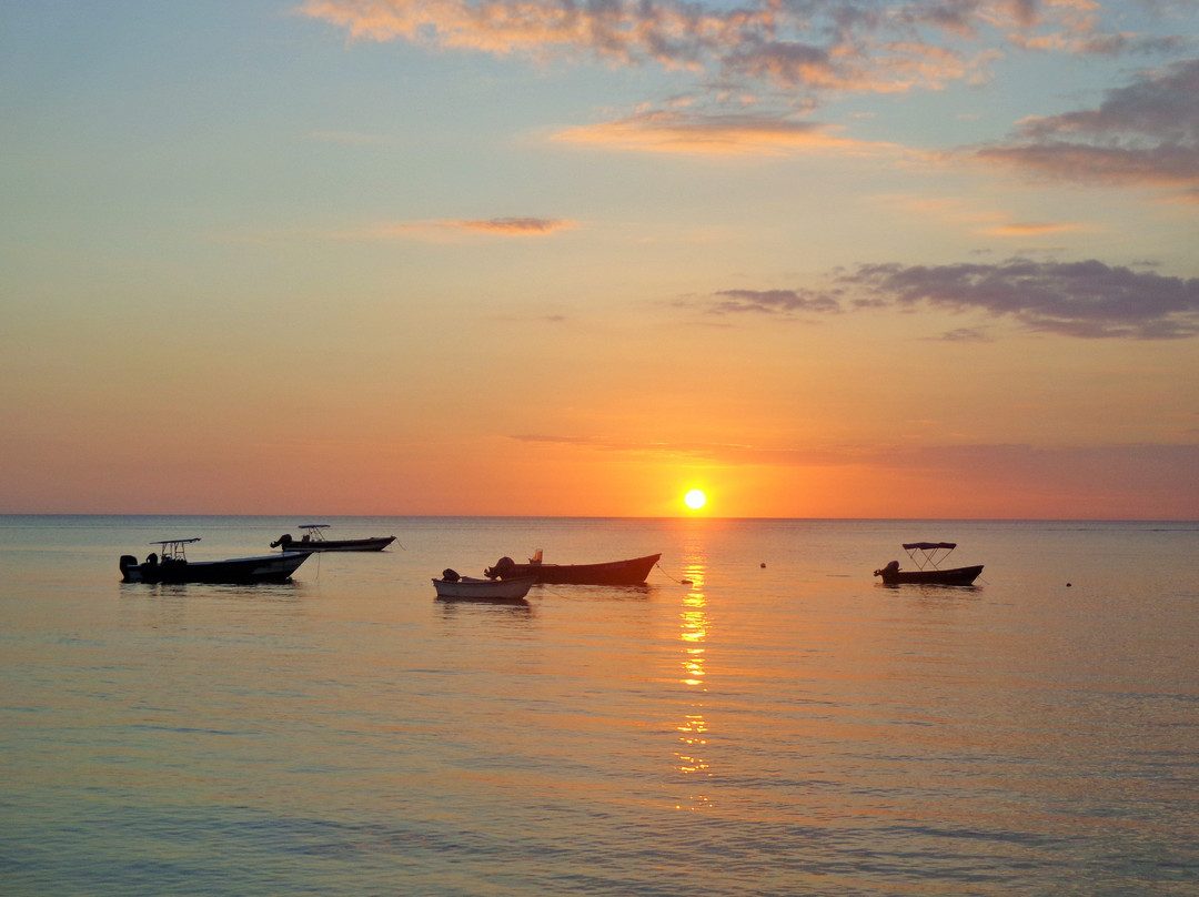 Posada Sweet Anashly主图