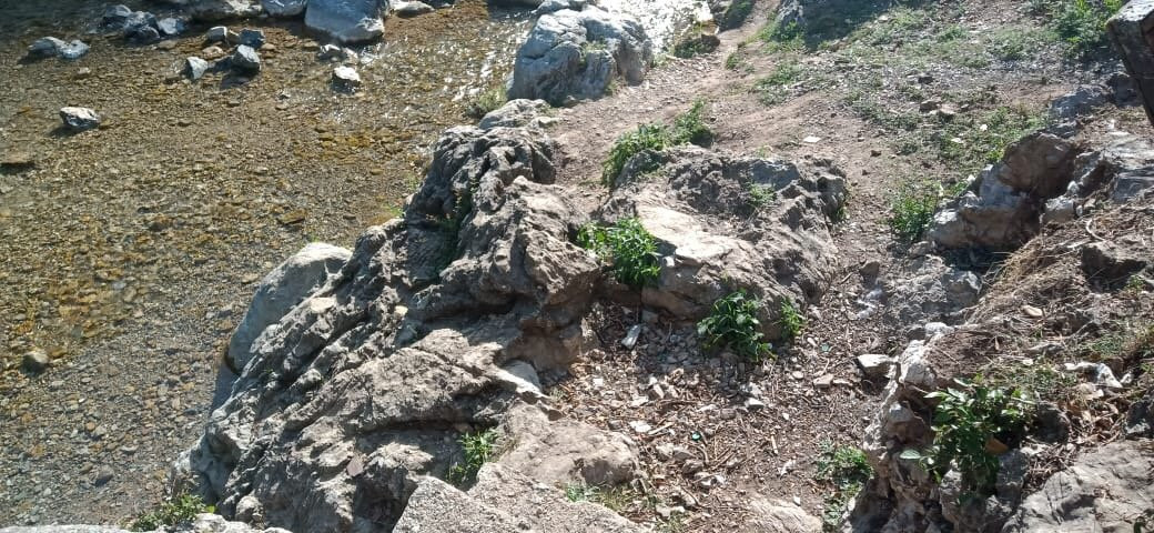 Himalayan Adventure Institute景点图片