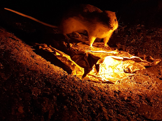 Alte Pumpwerk-不莱梅必去景点