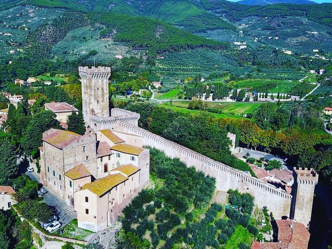 Rocca di Vicopisano (del Brunelleschi)景点图片