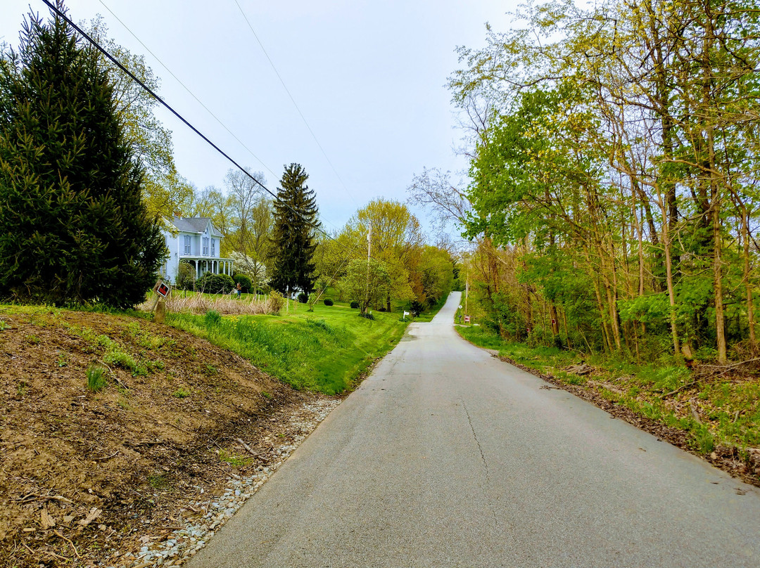 Sutersville旅游攻略图片