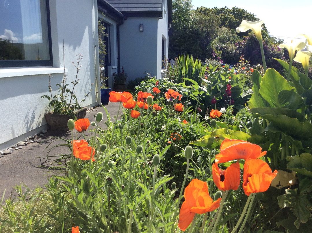 Bellatrix Bed and Breakfast for Women主图