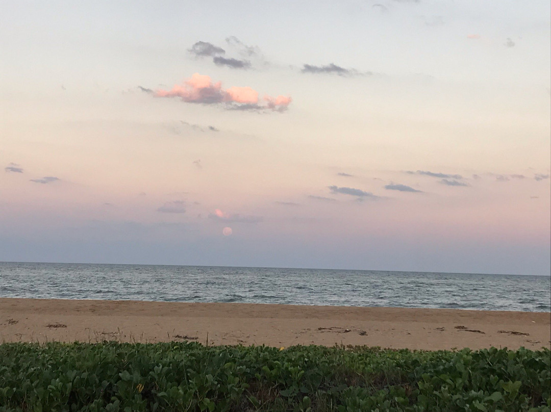 Barra e Cidade Nova Beach景点图片