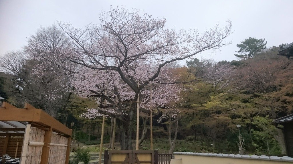 Higo-Hosokawa Garden