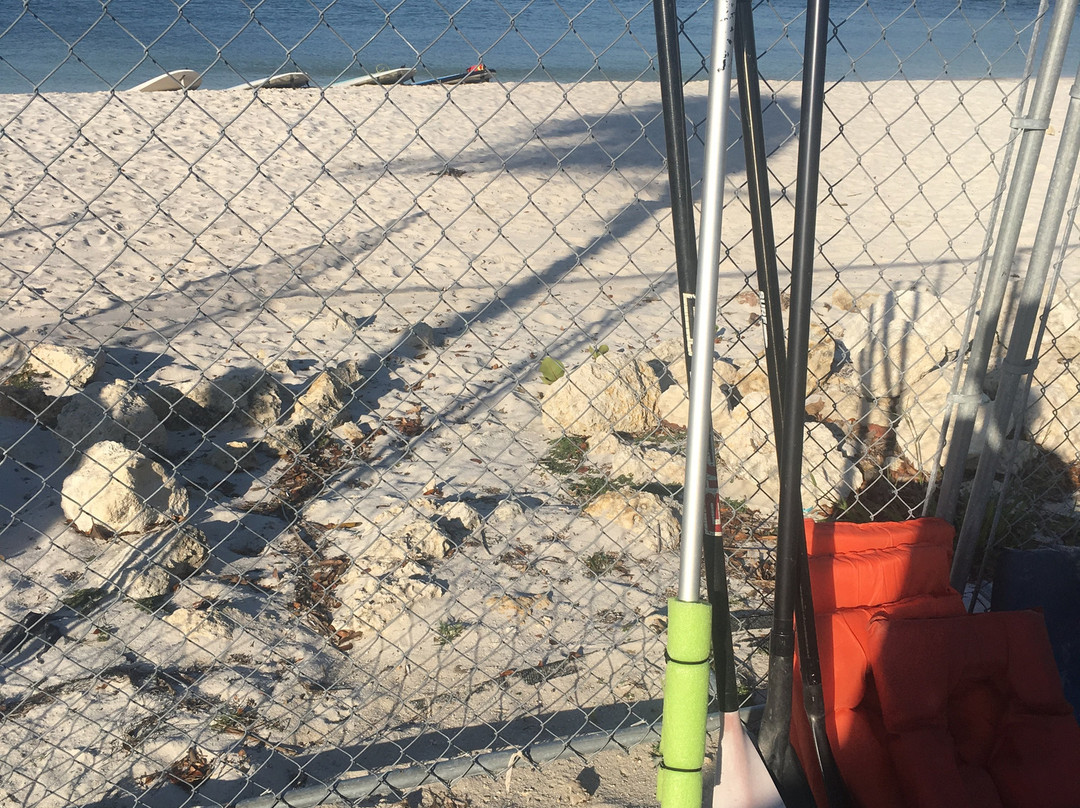 Katie's Paddle Boarding Adventures景点图片