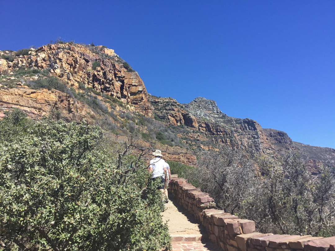 Kasi Africa Safari & Tours-开普敦中心区必去景点