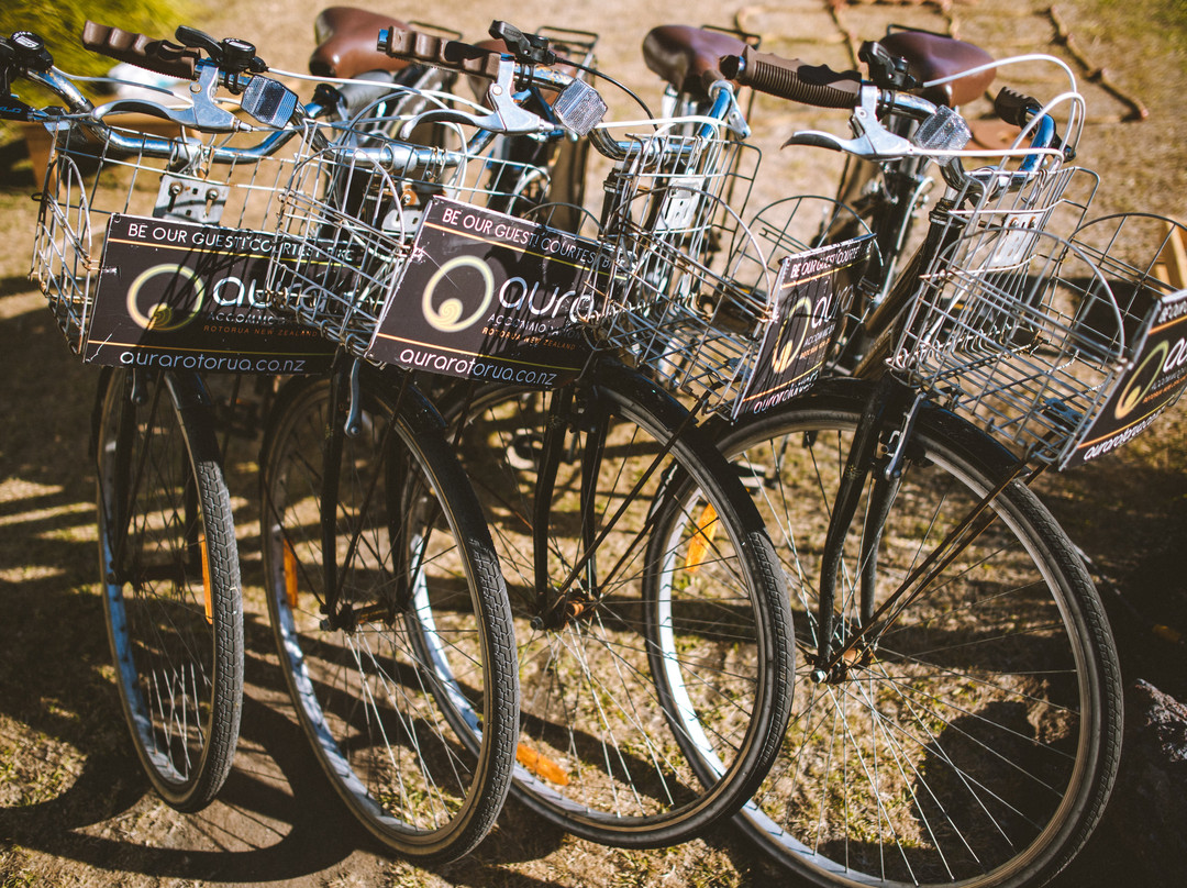 哈瓦那汽车旅馆主图