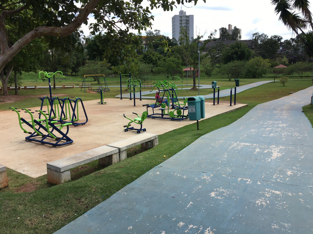 Parque da Cidade景点图片