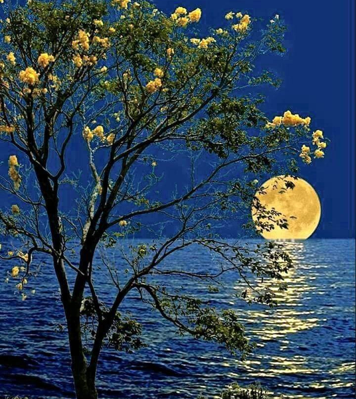 Great Mosque of Kufa-Kufa必去景点