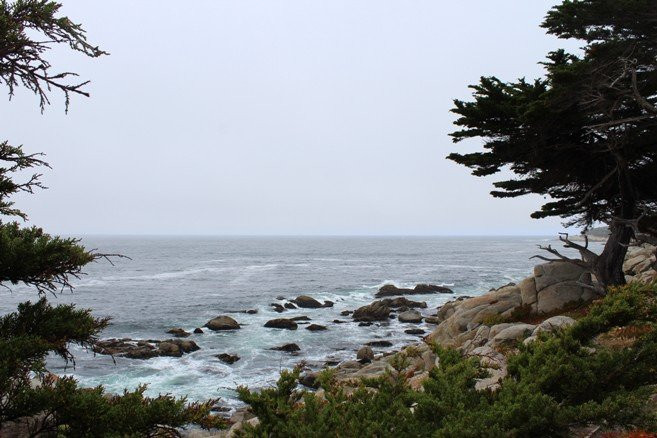 Pescadero Point-圆石滩必去景点