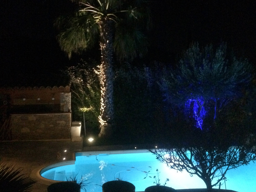 La Cigale sous l'Olivier主图