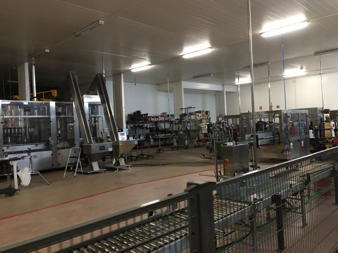 Bodegas Bocopa-阿利坎特省必去景点