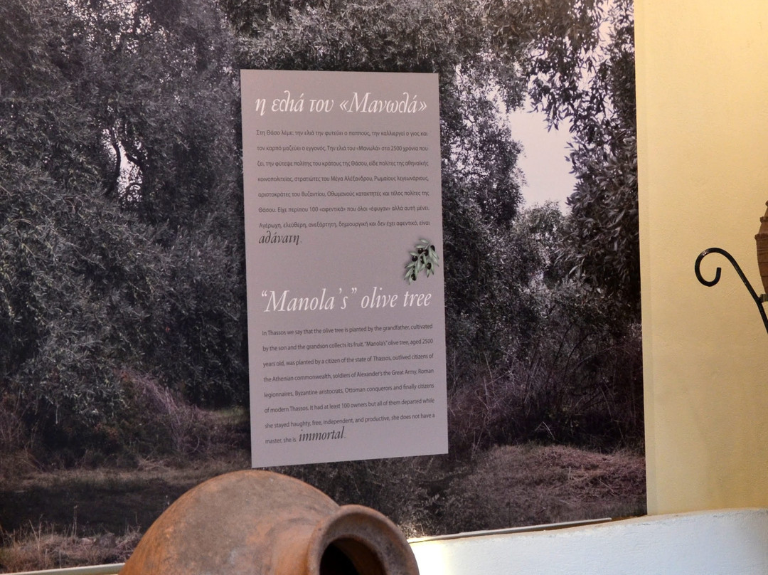 The Olive Oil Museum景点图片
