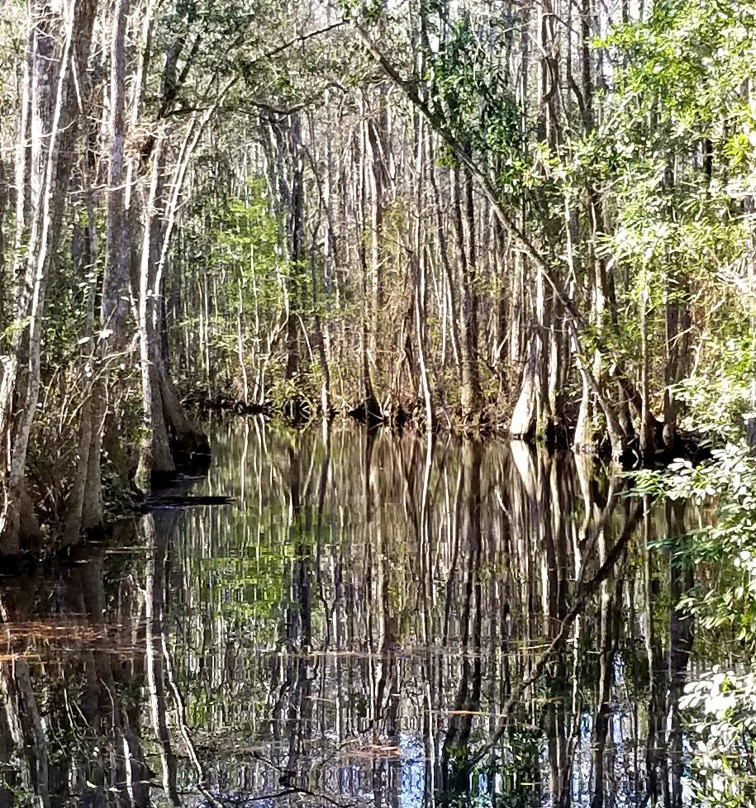 Okefenokee Heritage Center-Waycross必去景点