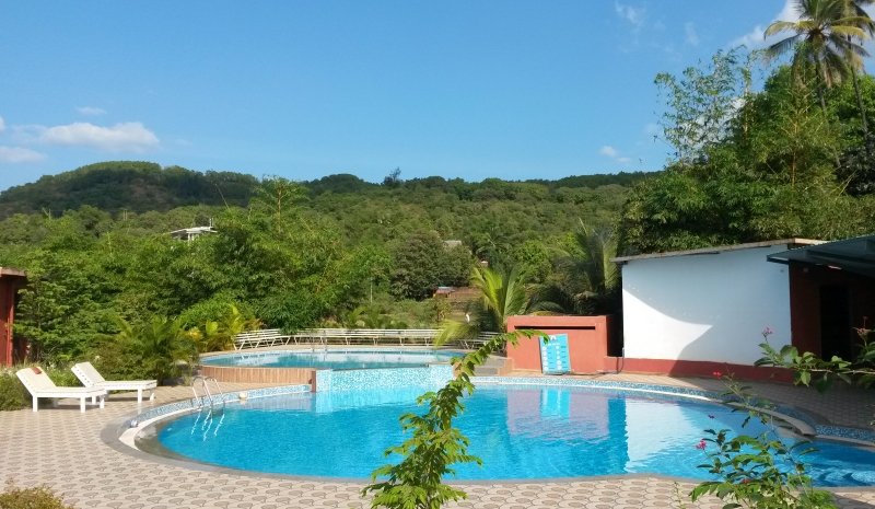 Arthigamya Resort & Spa-泳池