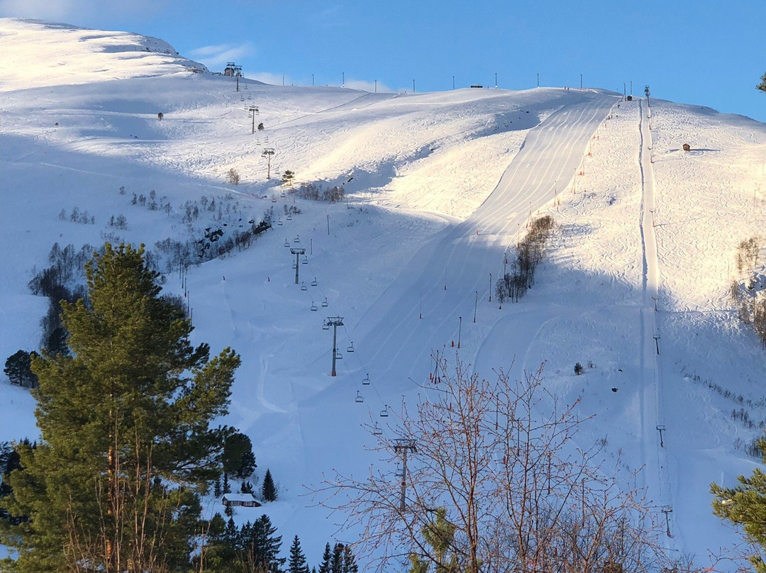 Strandafjellet Skisenter景点图片