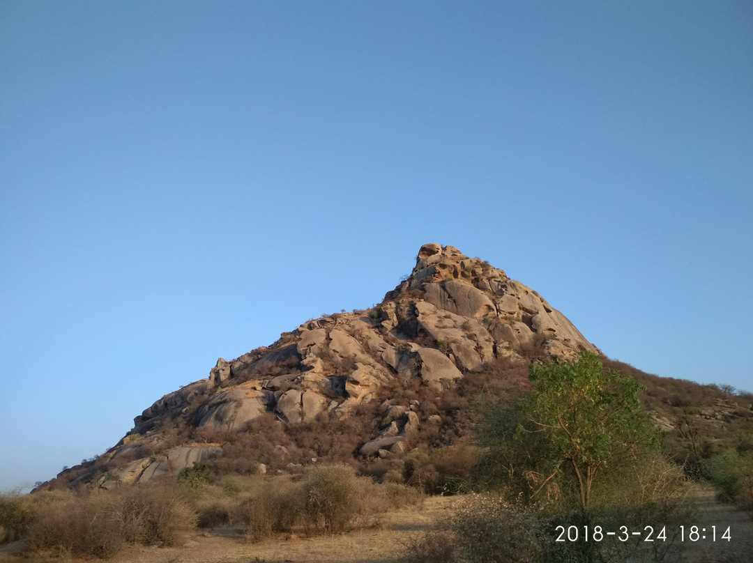 Leopard Hills景点图片
