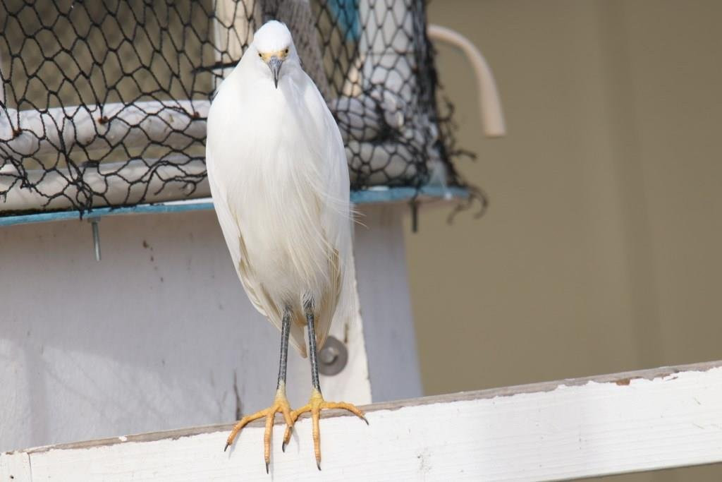 Brannan Island State Park-Rio Vista必去景点