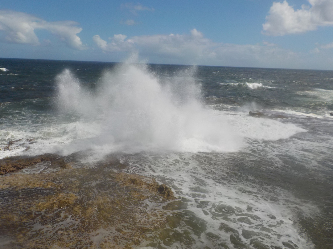 Little Bay-Saint Lucy Parish必去景点