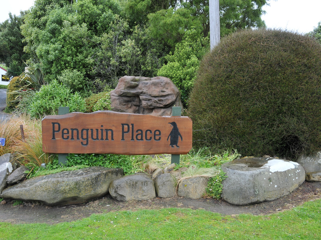 企鹅之家景点图片