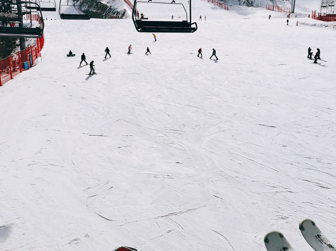 Phoenix Snow Park-平昌郡必去景点