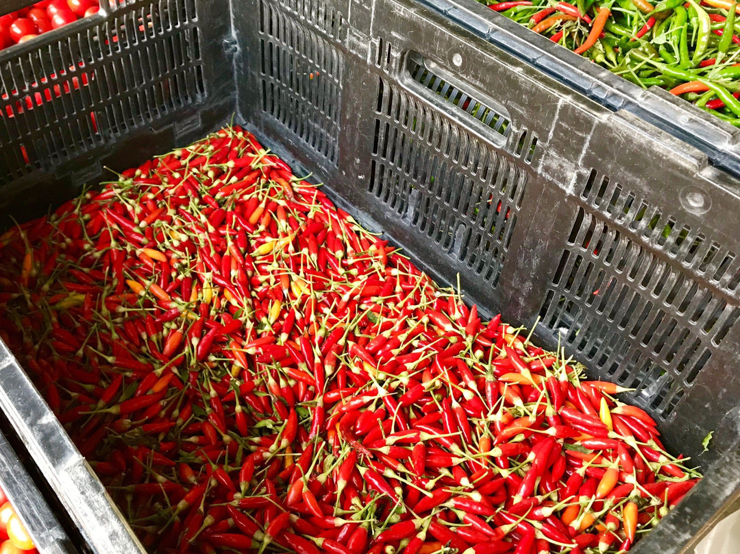 Laguna Niguel Farmer’s Market-拉古纳尼格必去景点