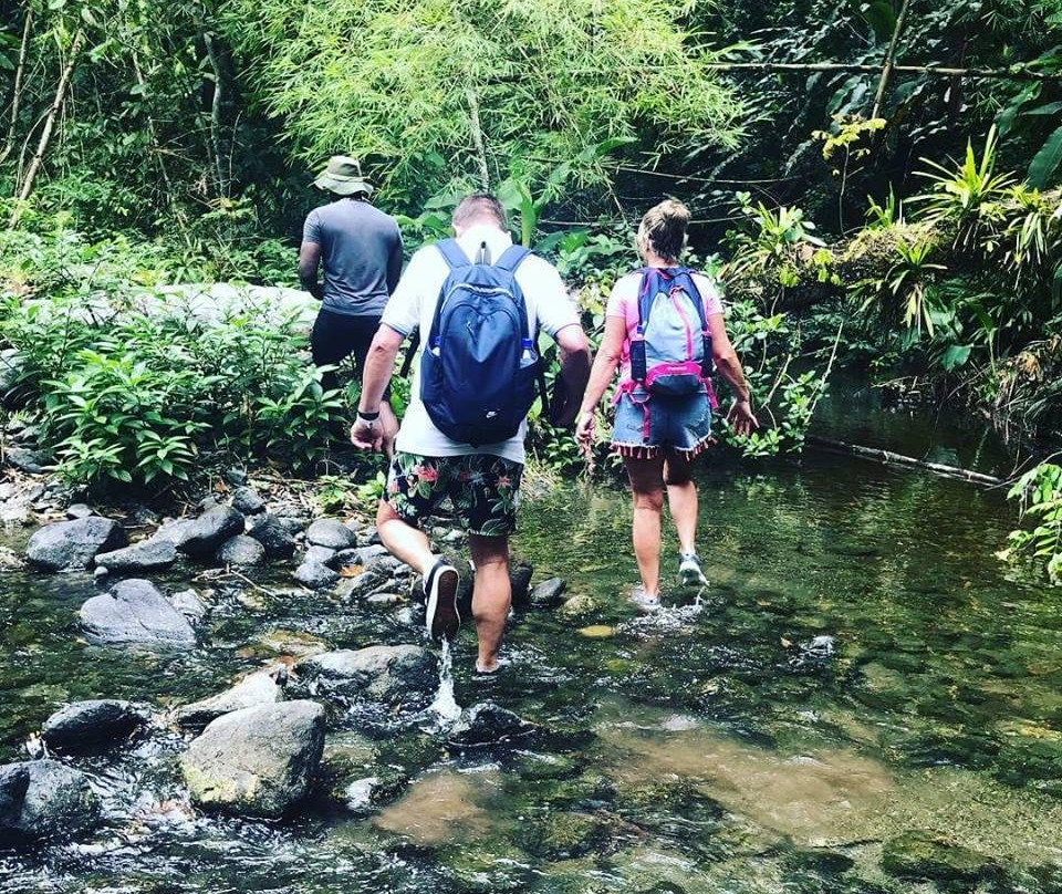 Tobago Off-Road Expeditions-斯卡伯勒必去景点