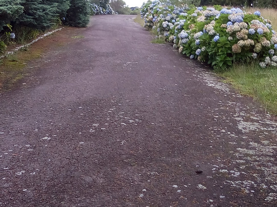Parque do Palácio-卡内拉必去景点