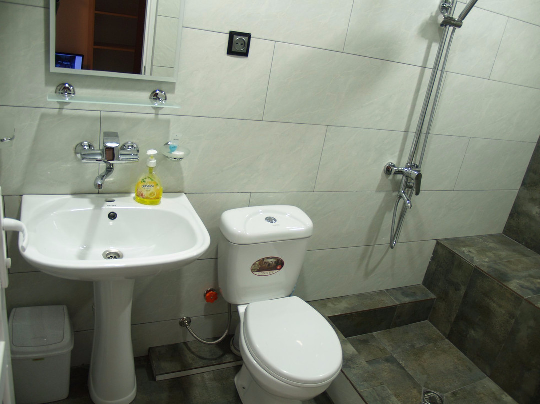 Mestia Hotel Level主图