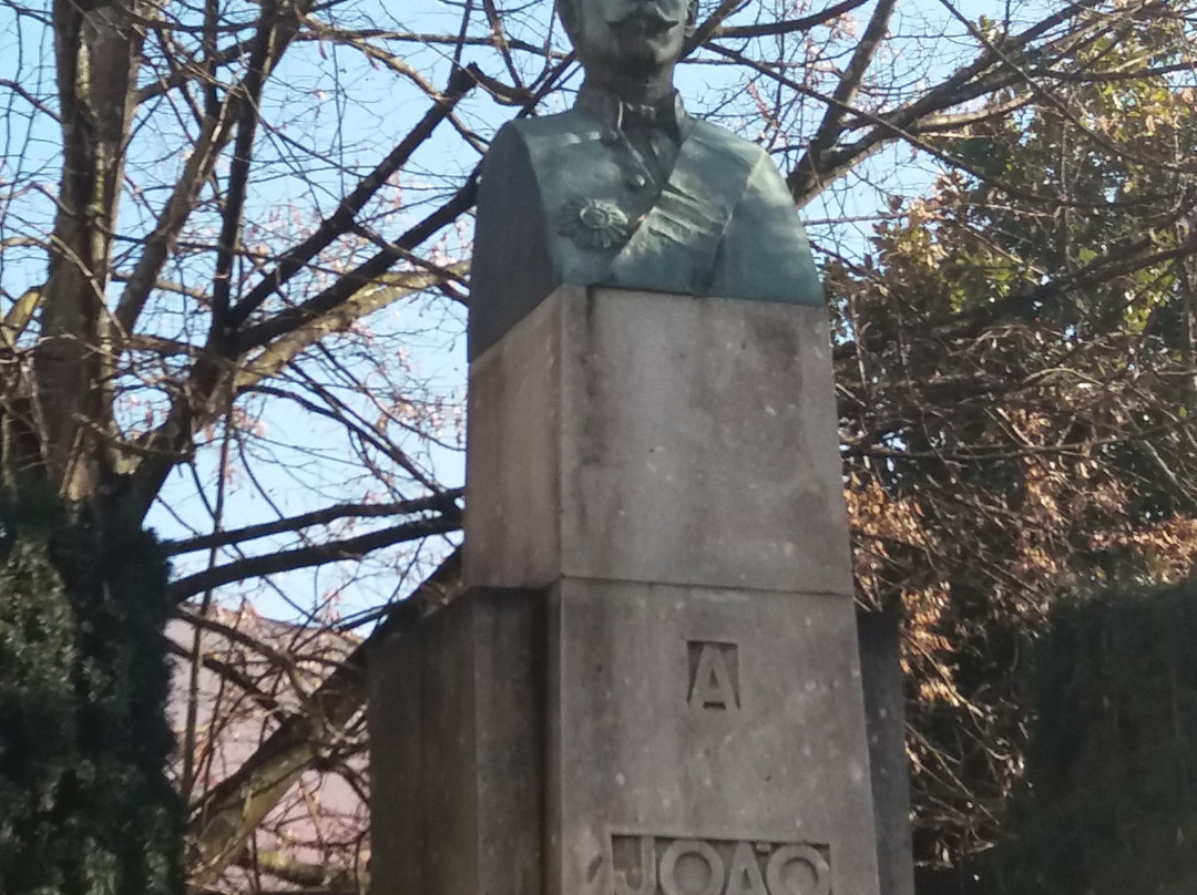 Monumento a Joao Franco景点图片