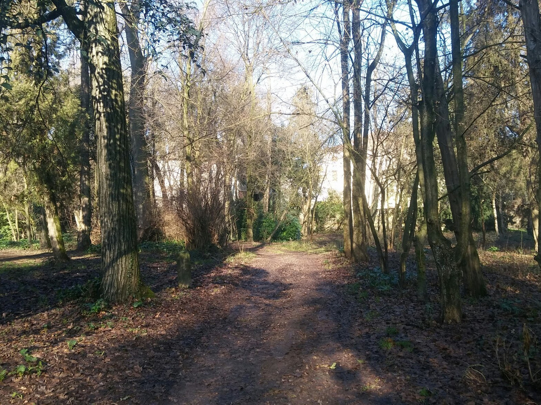 Parco Pubblico "M.A. Centanini"-Stanghella必去景点