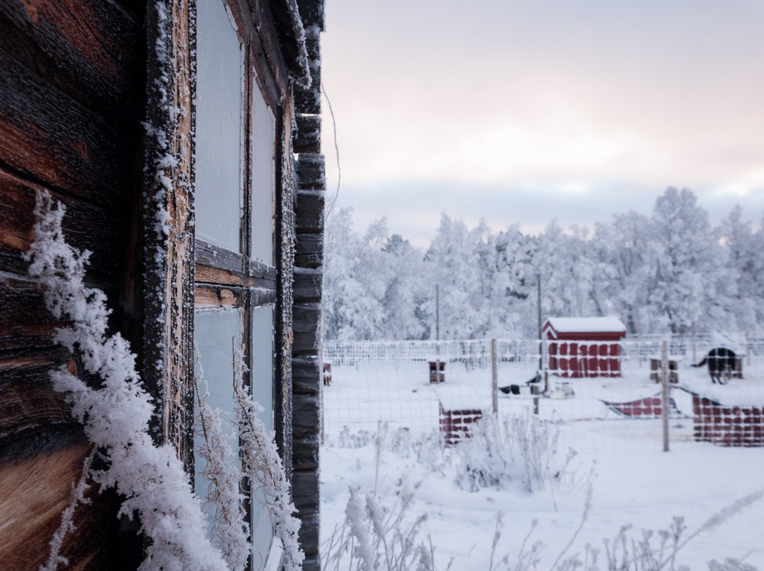 Fjestad Husky景点图片