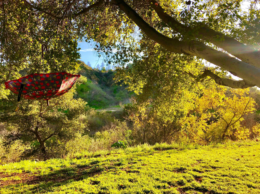 Chino Hills State Park-Brea必去景点