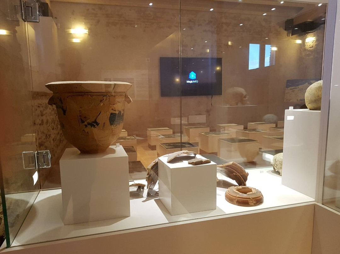 Himera Sito Archeologico e Museo景点图片