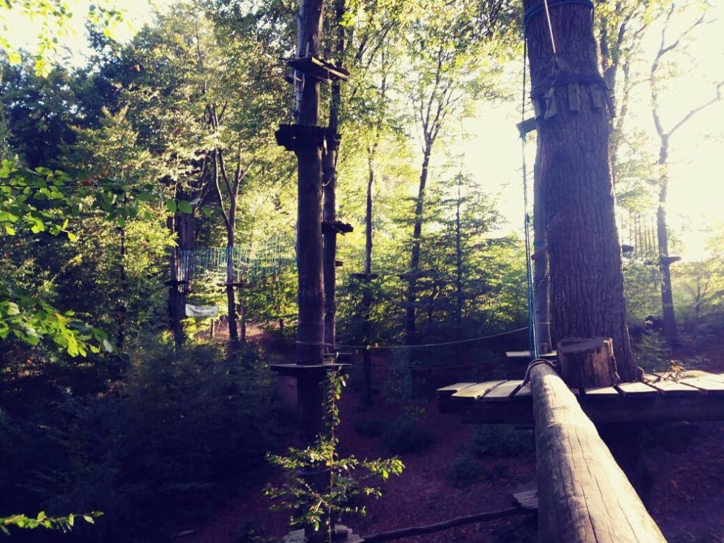 Teammotion Kletterwald Nettetal景点图片