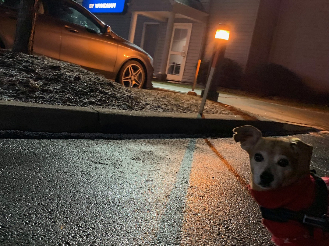 Microtel Inn & Suites by Wyndham Bethel / Danbury主图