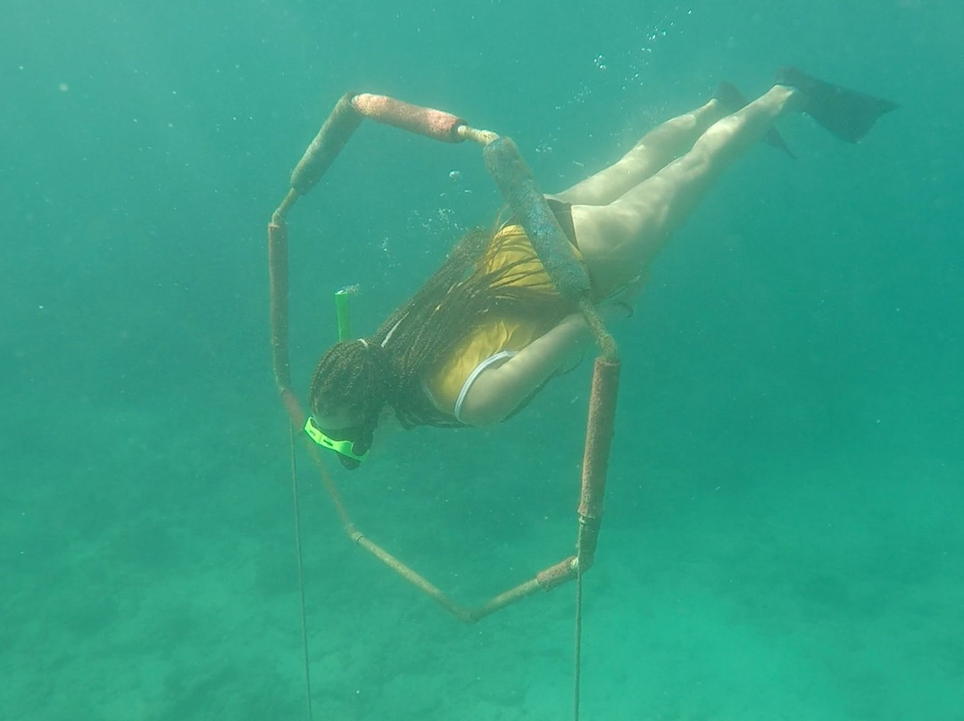 Snorkeling Antigua W.I.景点图片