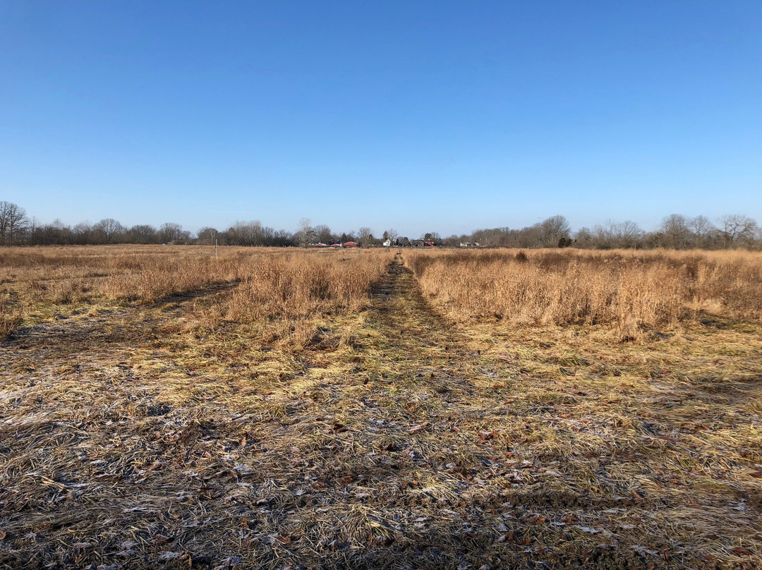 Buckeye Pheasant Hunting Preserve-New Lebanon必去景点