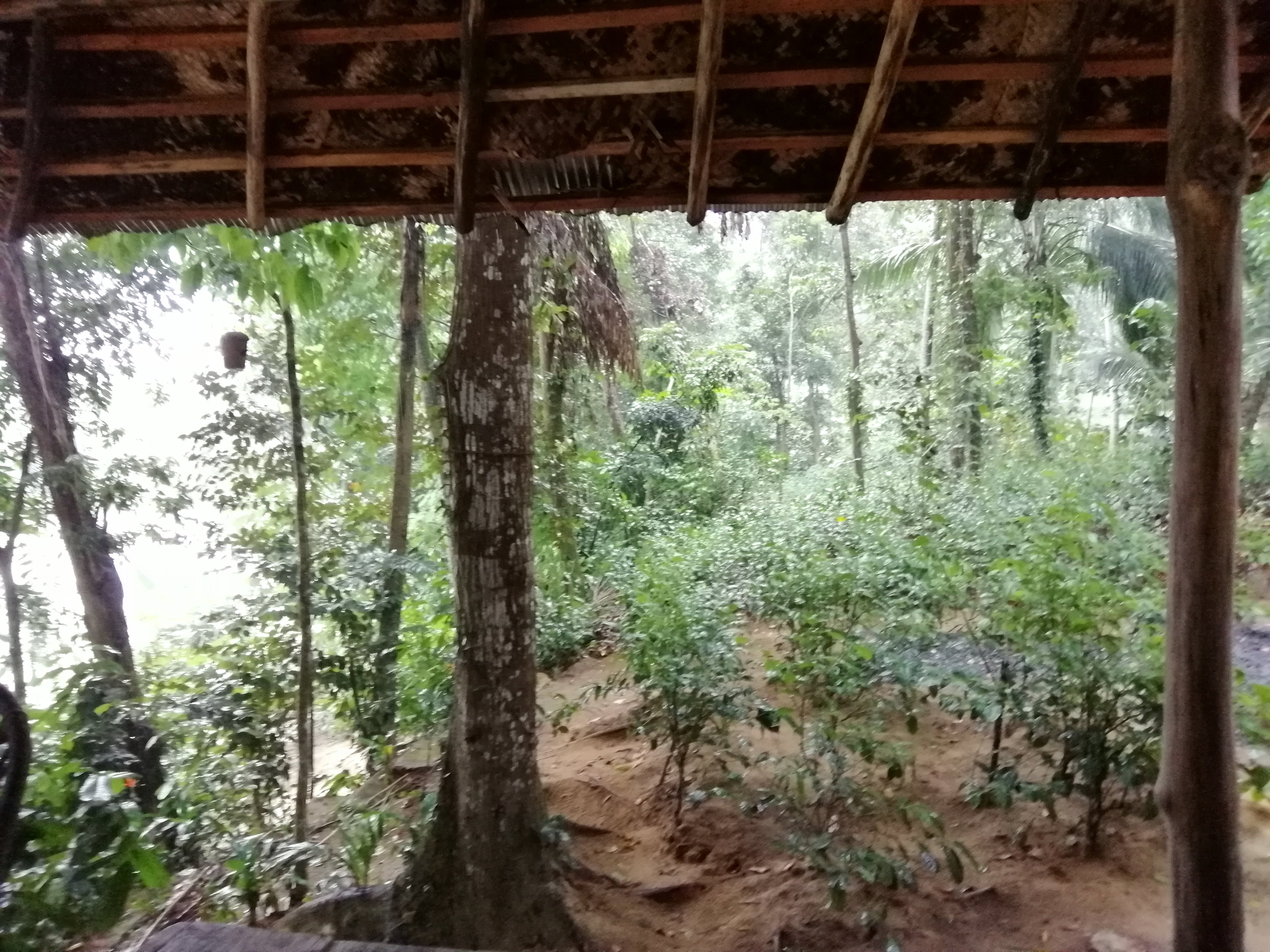 Bedda Eco Cottages-酒店景观