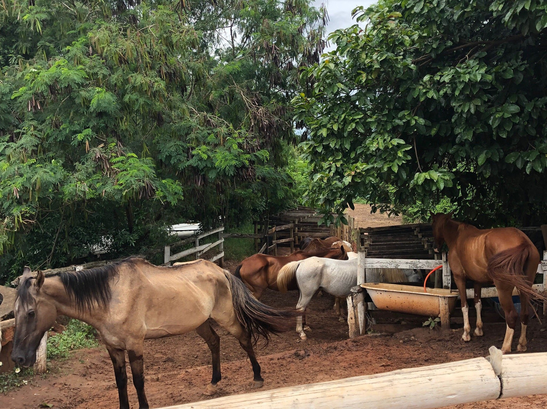Rancho do Kajuba-Sao Pedro必去景点