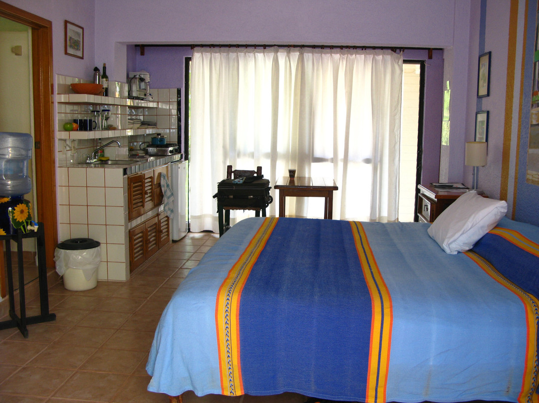 La Paloma Oceanfront Retreat主图