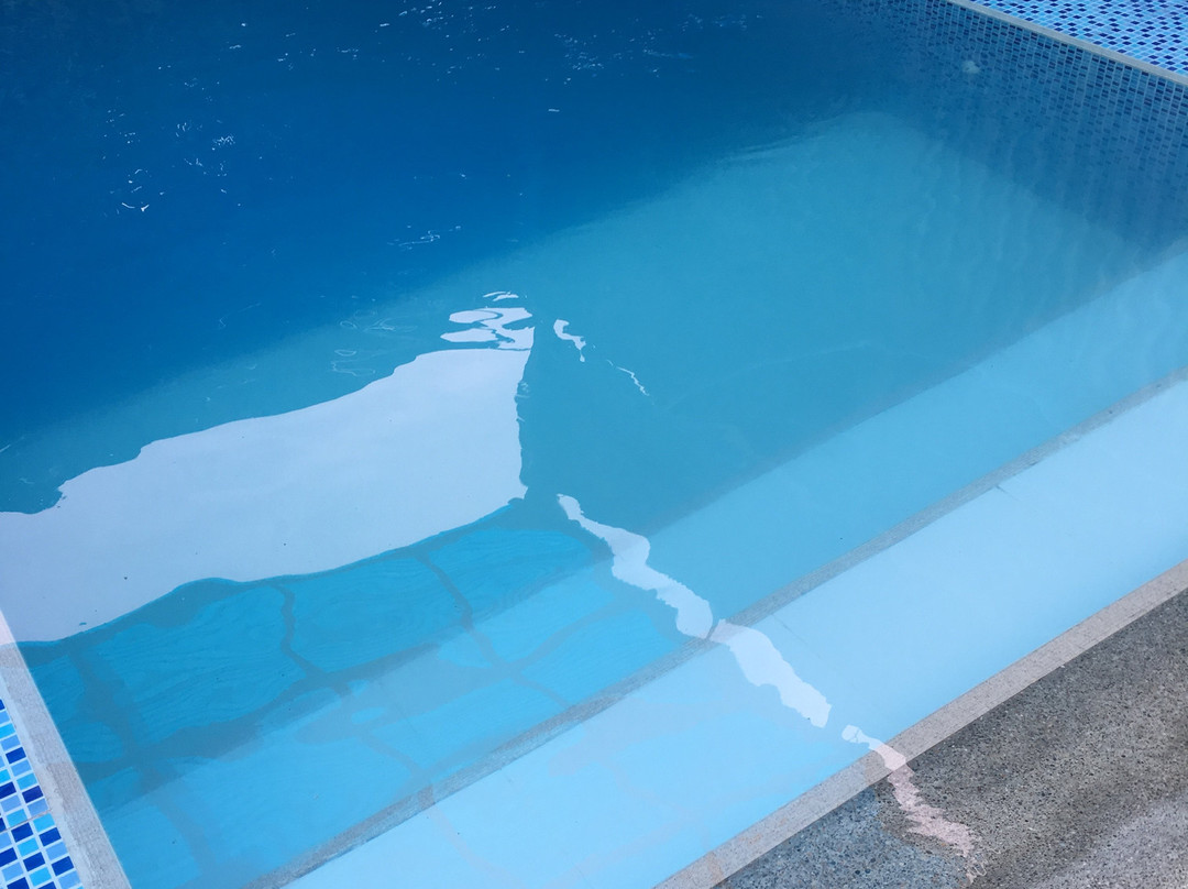 Rincon d’Olon主图