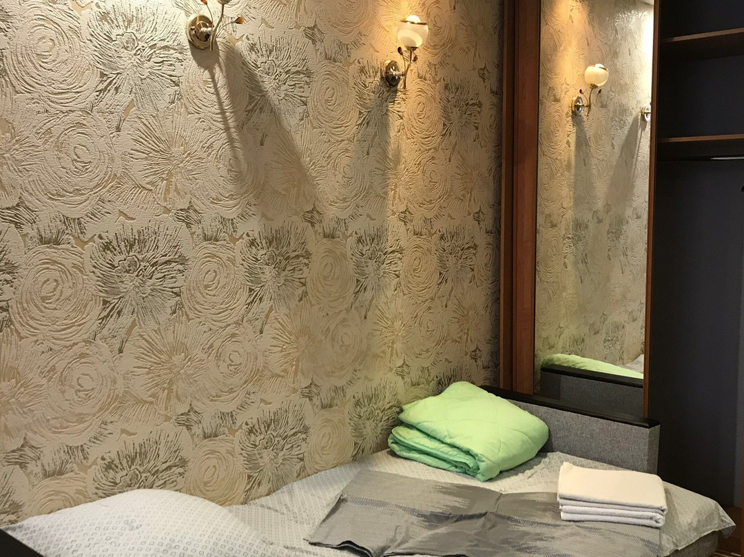 Hotel Pyatyorochka Lux主图