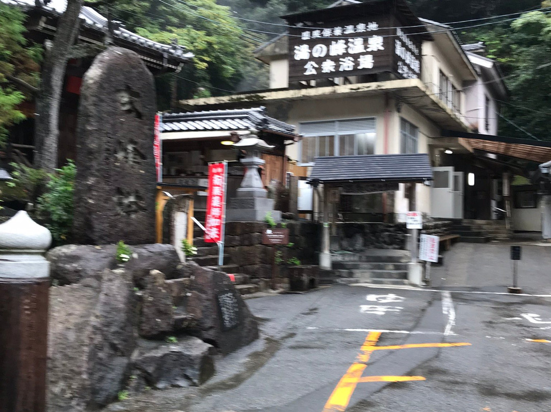 Yunomine Onsen Public Bathhouse景点图片