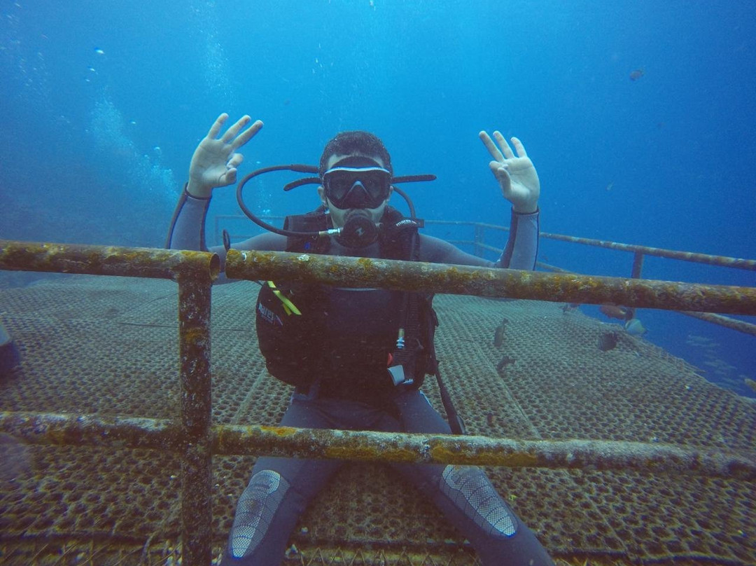 Al-Haddad Scuba-吉达必去景点