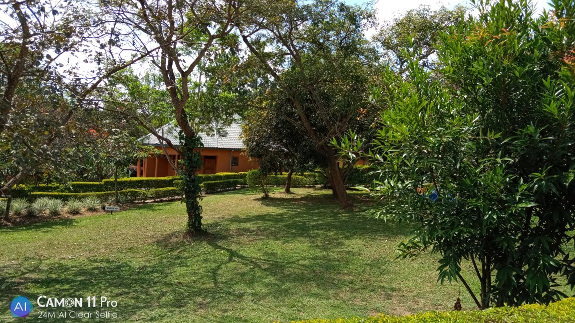 Hotel Kontiki Hoima-官方